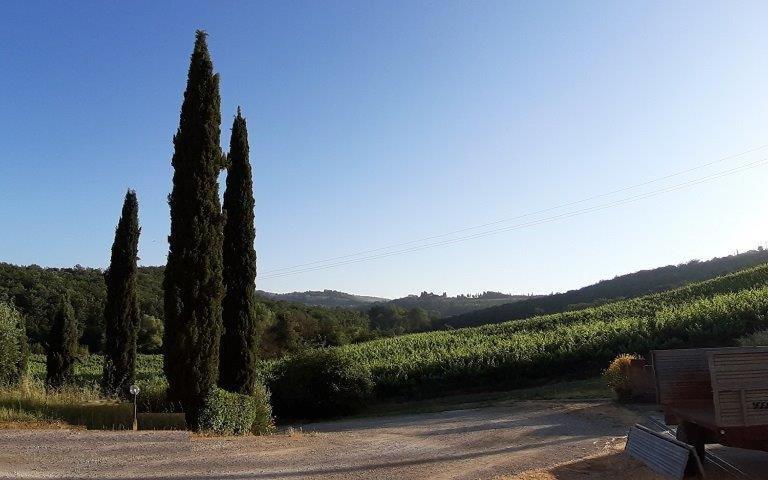 Casa Alla Madonna San Gimignano Luaran gambar
